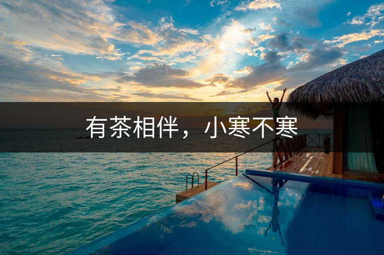 有茶相伴，小寒不寒