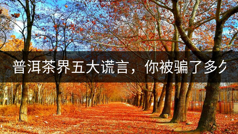 普洱茶界五大謊言，你被騙了多久？