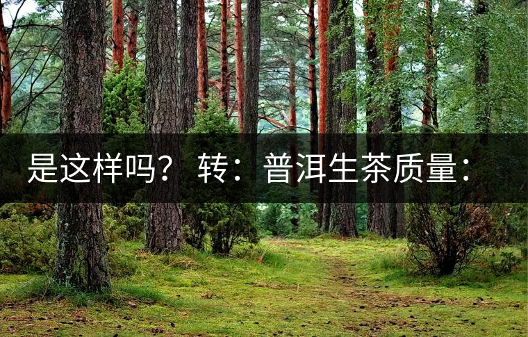 是這樣嗎？ 轉(zhuǎn)：普洱生茶質(zhì)量：大廠(chǎng)和小廠(chǎng)沒(méi)有區(qū)別