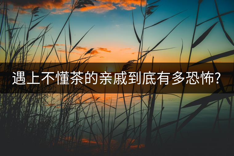遇上不懂茶的親戚到底有多恐怖?千萬別用喝茶來考驗?zāi)愕挠H情! 遇上不懂茶的親戚到底有多恐怖?千萬別用喝茶來考驗?zāi)愕挠H情!