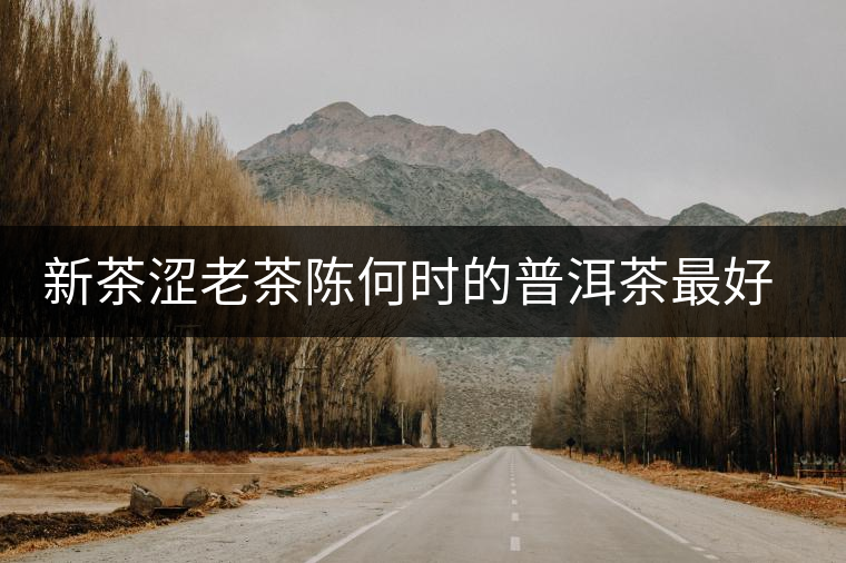新茶澀老茶陳何時(shí)的普洱茶最好喝