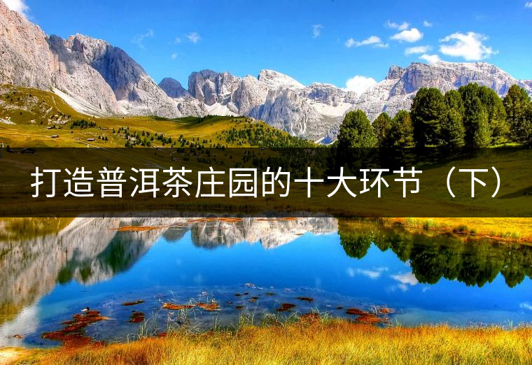 打造普洱茶莊園的十大環(huán)節(jié)(下) 打造普洱茶莊園的十大環(huán)節(jié)(下)