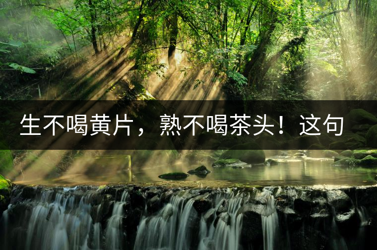 生不喝黃片，熟不喝茶頭！這句話你了解多少？