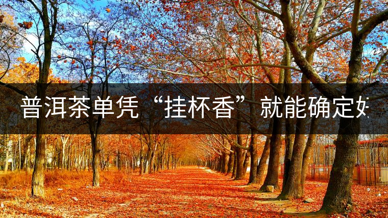 普洱茶單憑“掛杯香”就能確定好壞？you錯了！