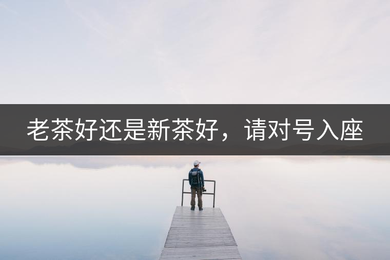 老茶好還是新茶好，請(qǐng)對(duì)號(hào)入座