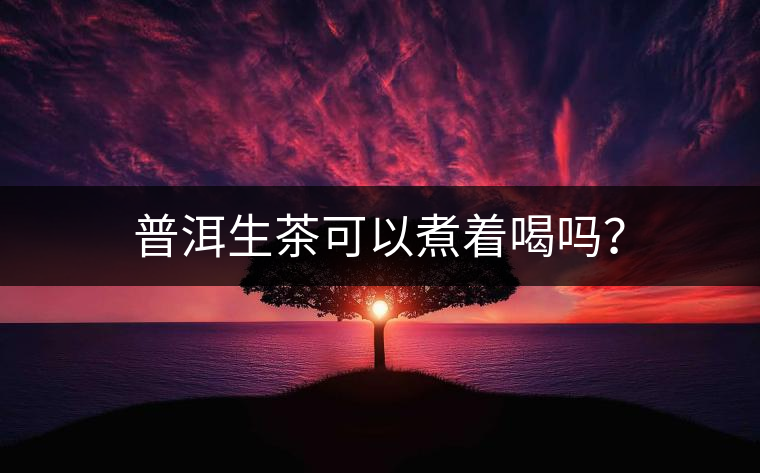 普洱生茶可以煮著喝嗎？