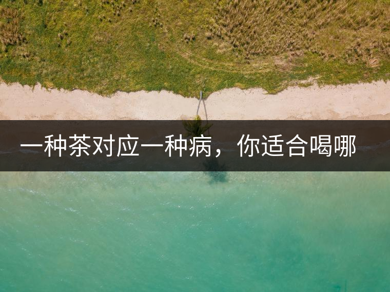 一種茶對(duì)應(yīng)一種病，你適合喝哪一種呢？