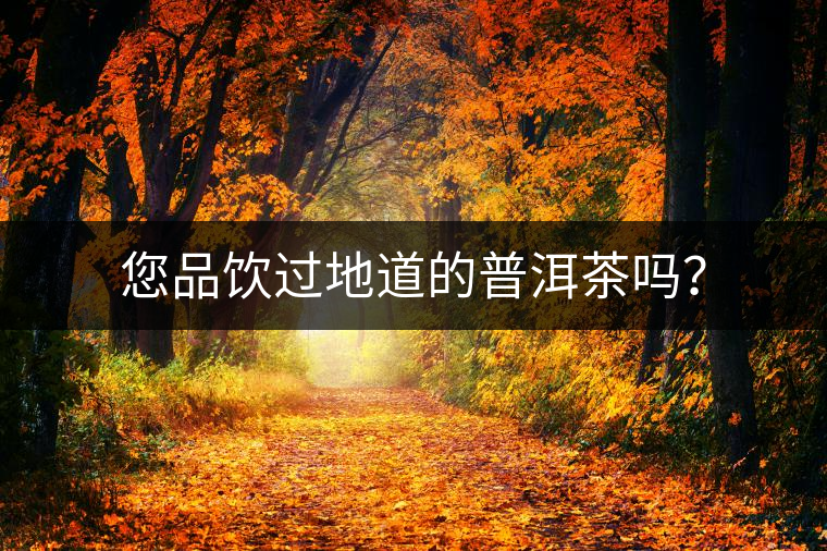 您品飲過地道的普洱茶嗎？