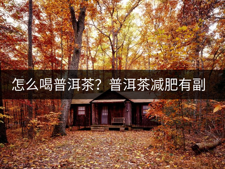 怎么喝普洱茶？普洱茶減肥有副作用嗎？