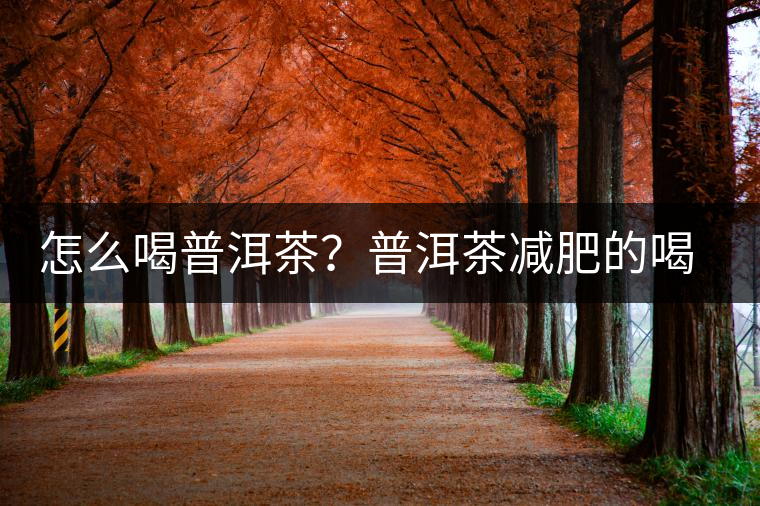 怎么喝普洱茶？普洱茶減肥的喝法