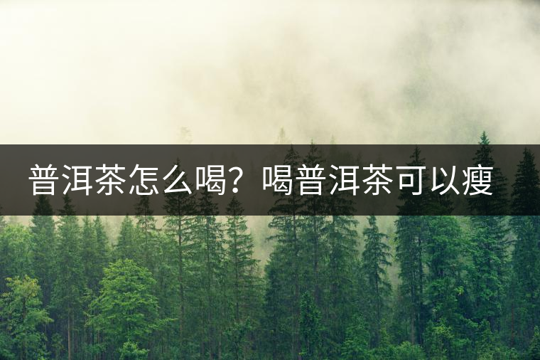 普洱茶怎么喝？喝普洱茶可以瘦腹嗎？