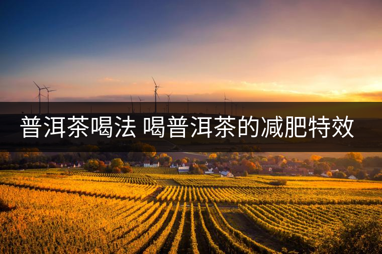 普洱茶喝法 喝普洱茶的減肥特效是什么呢？