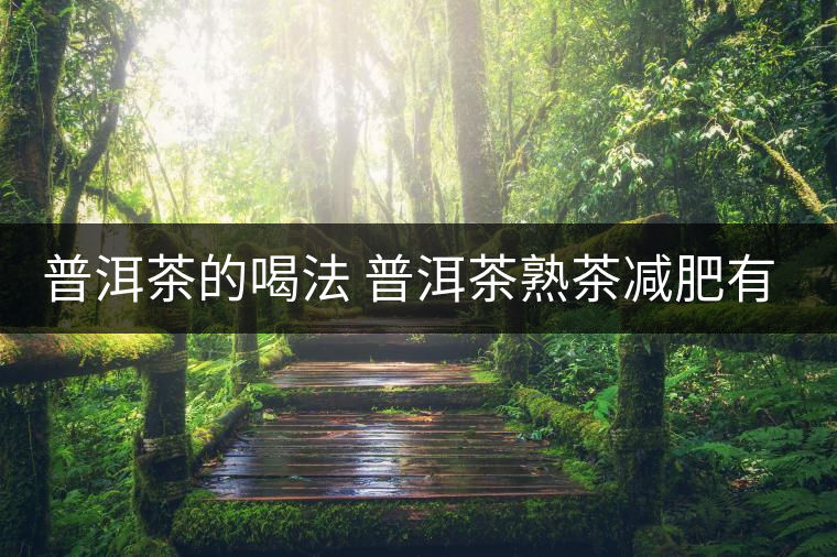 普洱茶的喝法 普洱茶熟茶減肥有什么效果嗎？