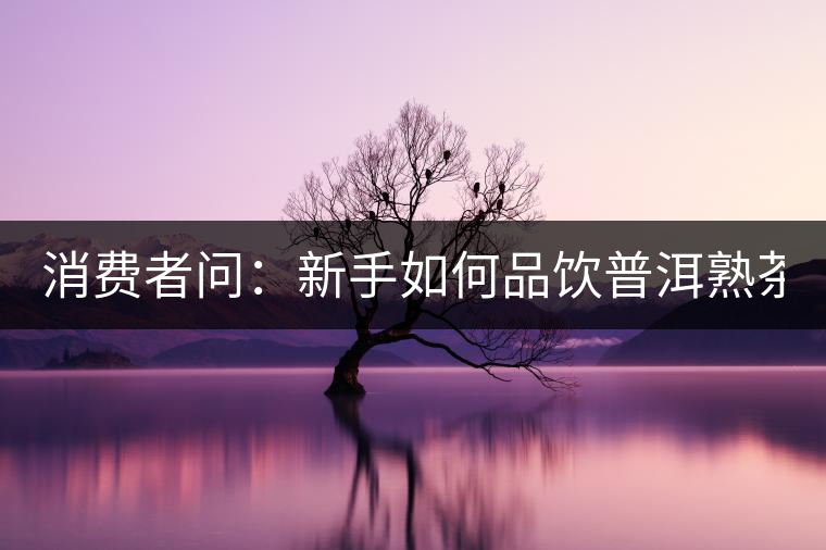 消費者問：新手如何品飲普洱熟茶？