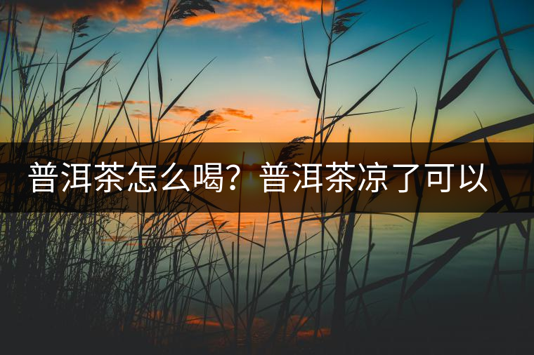 普洱茶怎么喝？普洱茶涼了可以喝嗎？