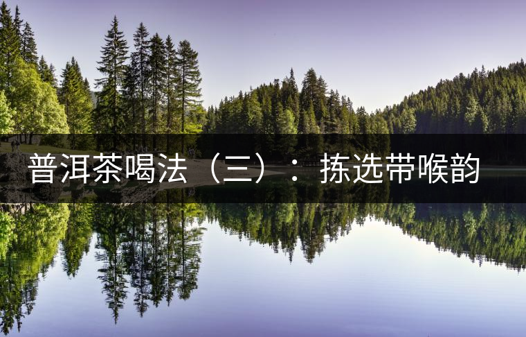 普洱茶喝法（三）：揀選帶喉韻的茶品