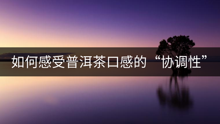 如何感受普洱茶口感的“協(xié)調(diào)性”？