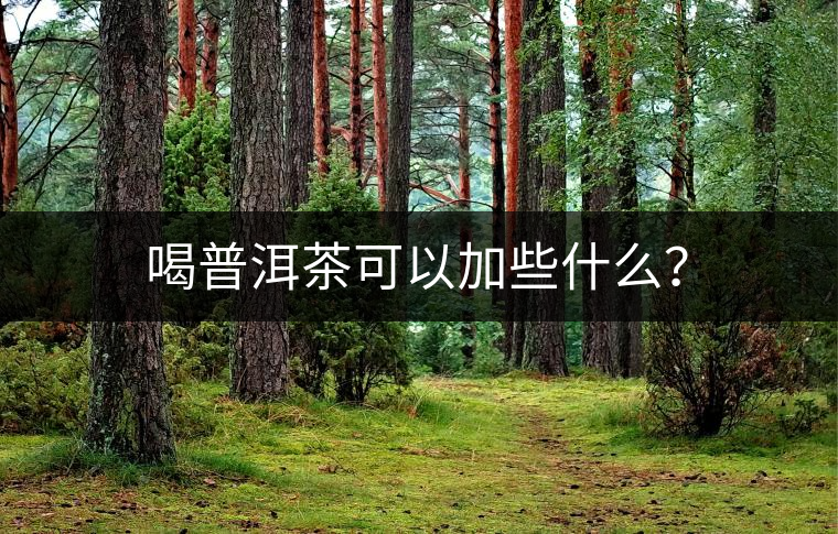 喝普洱茶可以加些什么？