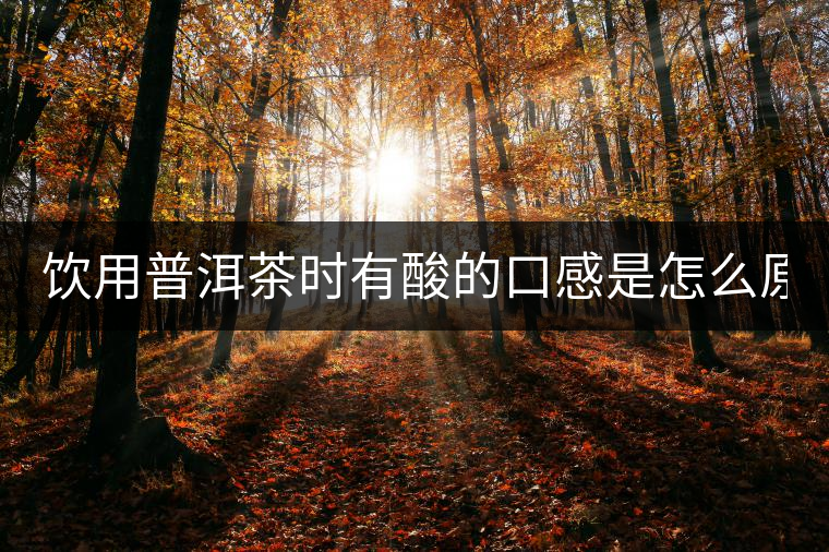 飲用普洱茶時有酸的口感是怎么原因？
