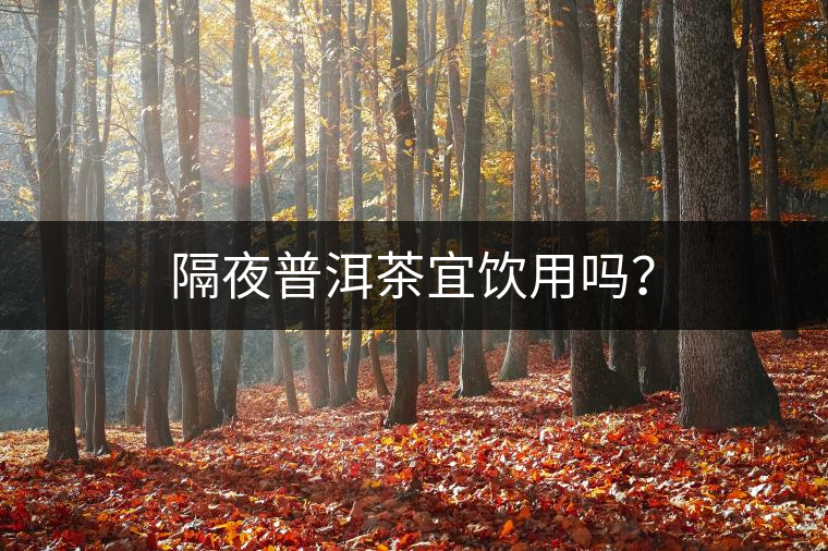 隔夜普洱茶宜飲用嗎？