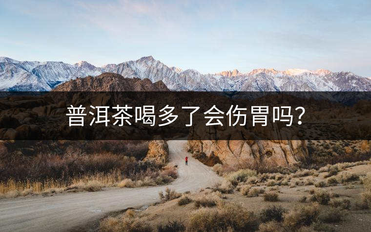 普洱茶喝多了會(huì)傷胃嗎？