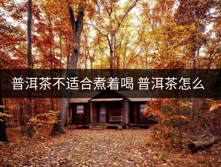 普洱茶不適合煮著喝 普洱茶怎么喝？