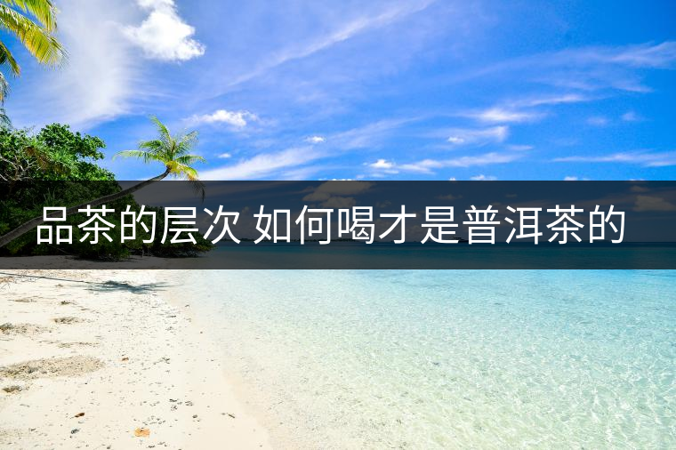 品茶的層次 如何喝才是普洱茶的最高境界？