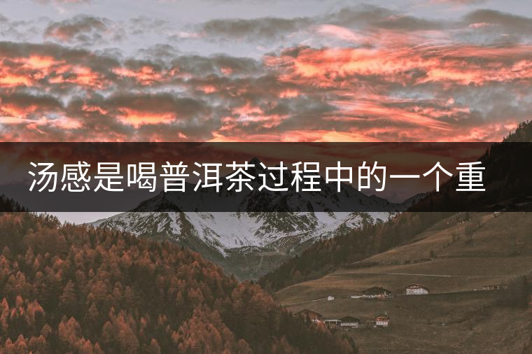 湯感是喝普洱茶過(guò)程中的一個(gè)重要感覺(jué) 湯感是喝普洱茶過(guò)程中的一個(gè)重要感覺(jué)
