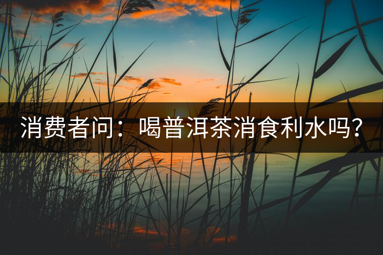 消費(fèi)者問(wèn)：喝普洱茶消食利水嗎？