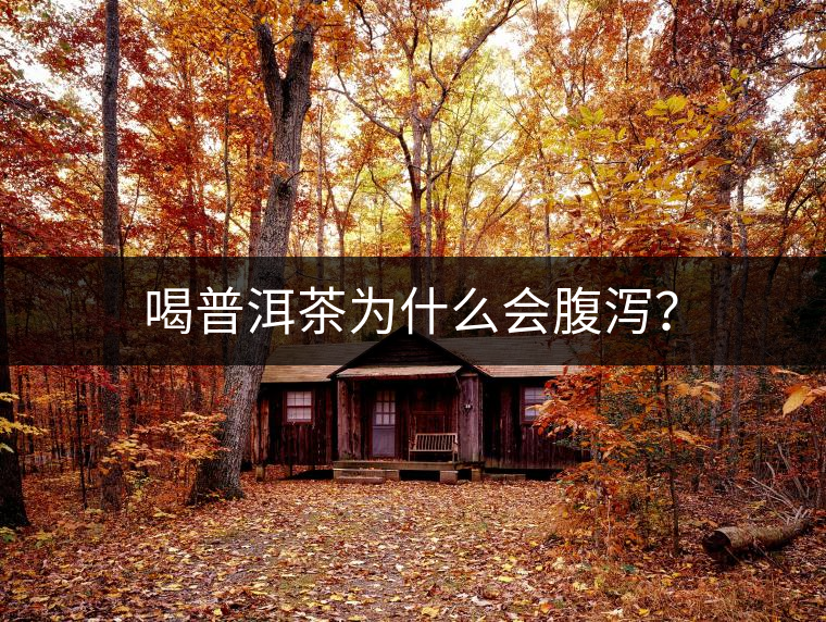 喝普洱茶為什么會腹瀉？