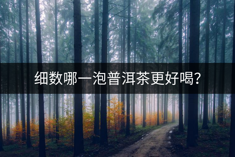 細數哪一泡普洱茶更好喝？
