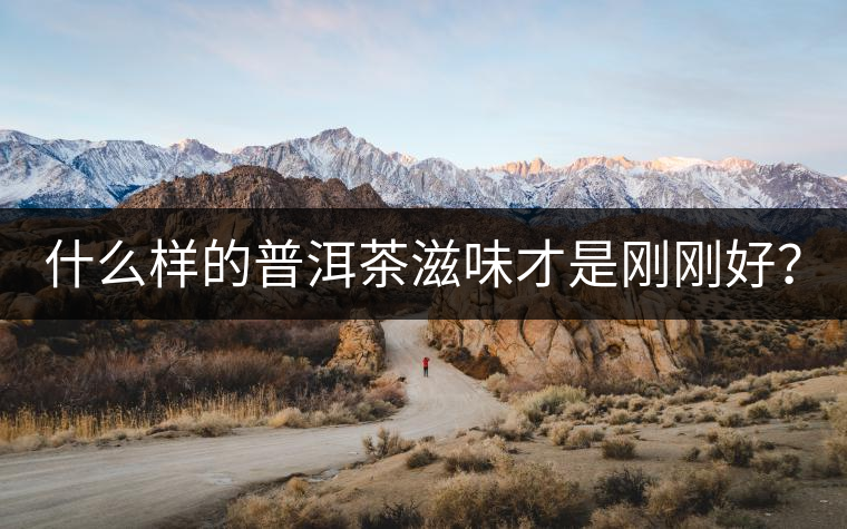 什么樣的普洱茶滋味才是剛剛好？
