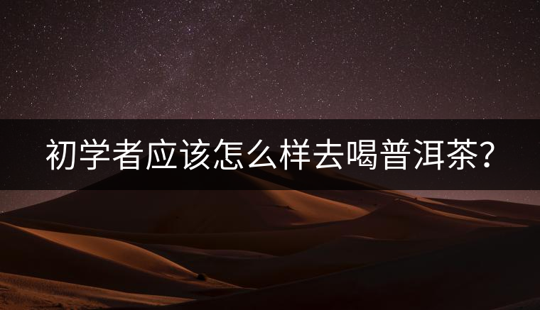 初學(xué)者應(yīng)該怎么樣去喝普洱茶？