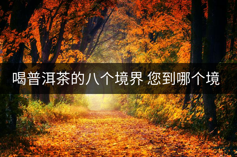 喝普洱茶的八個境界 您到哪個境界了？