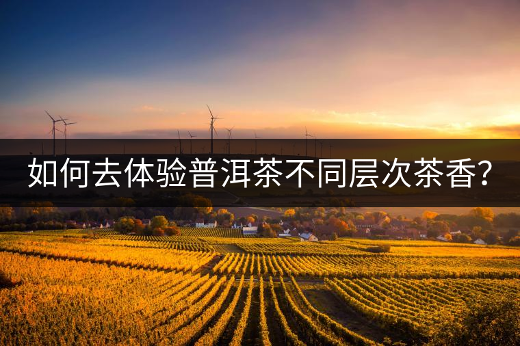 如何去體驗(yàn)普洱茶不同層次茶香？