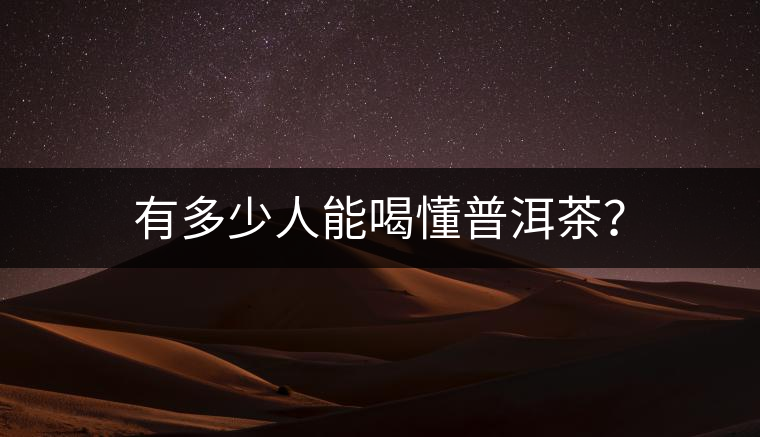 有多少人能喝懂普洱茶？