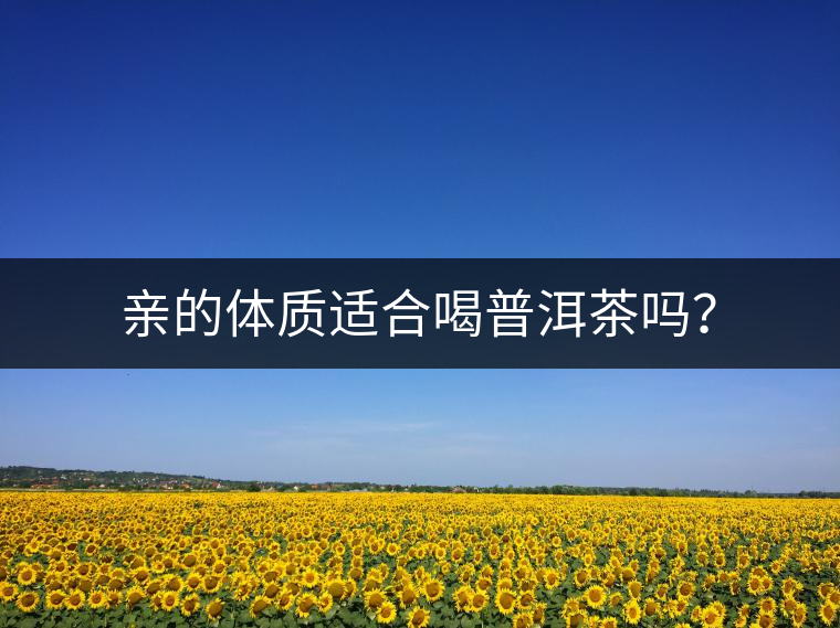 親的體質(zhì)適合喝普洱茶嗎？