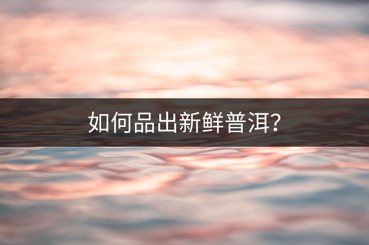 如何品出新鮮普洱？