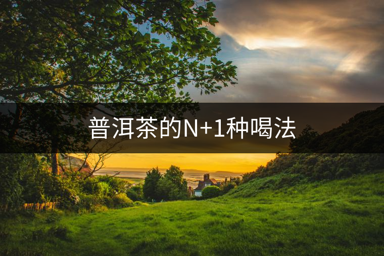 普洱茶的N+1種喝法 普洱茶的N+1種喝法