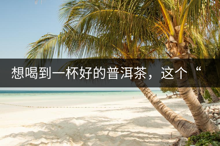 想喝到一杯好的普洱茶，這個(gè)“醒茶”步驟很關(guān)鍵