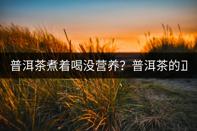 普洱茶煮著喝沒(méi)營(yíng)養(yǎng)？普洱茶的正確煮法！