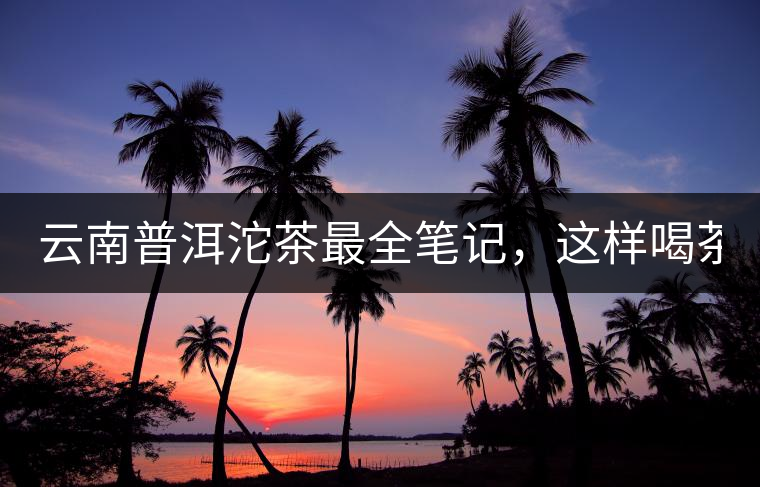 云南普洱沱茶最全筆記，這樣喝茶才更健康！