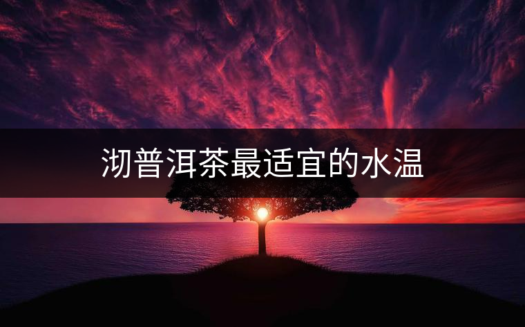 沏普洱茶最適宜的水溫
