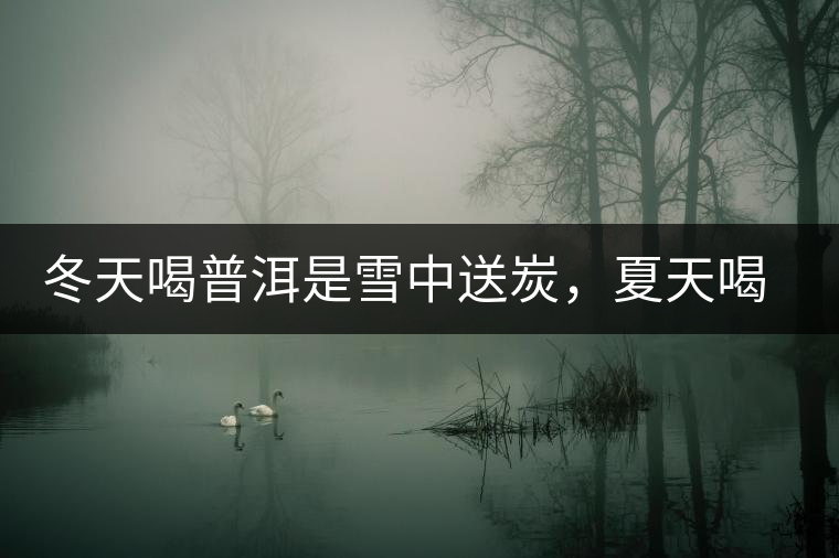 冬天喝普洱是雪中送炭，夏天喝就是火上澆油了？