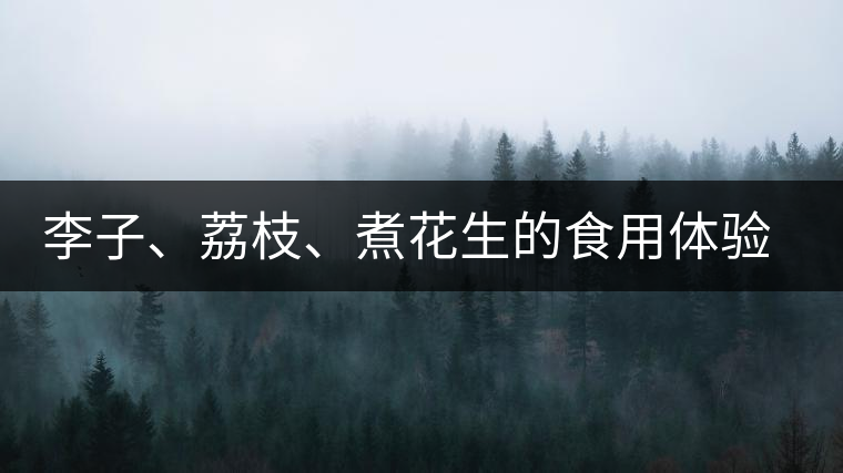 李子、荔枝、煮花生的食用體驗(yàn)來(lái)比對(duì)普洱茶的湯體口感