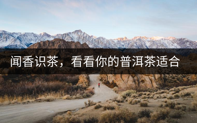 聞香識茶，看看你的普洱茶適合現(xiàn)在喝還是以后喝？