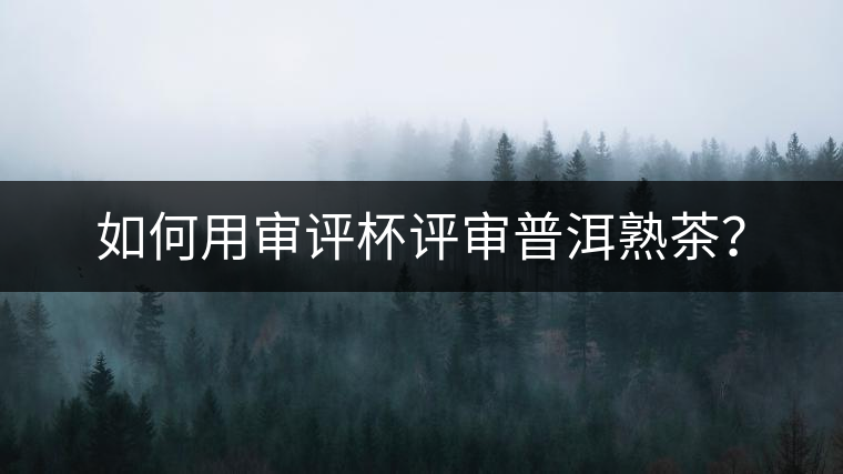 如何用審評杯評審普洱熟茶？