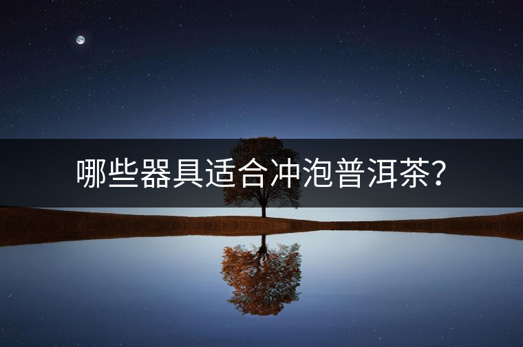 哪些器具適合沖泡普洱茶？