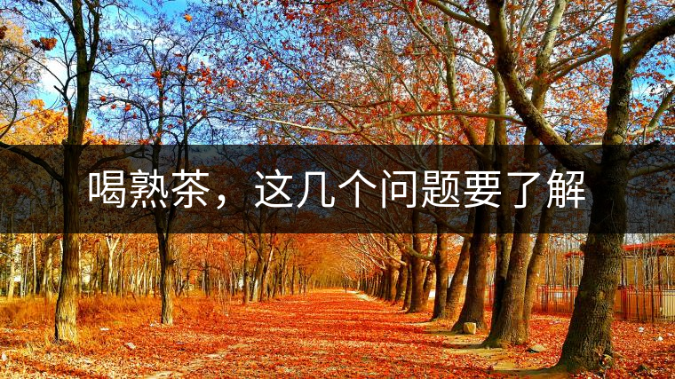 喝熟茶，這幾個(gè)問(wèn)題要了解