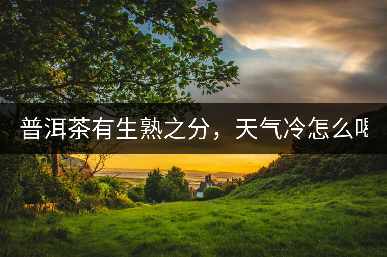 普洱茶有生熟之分，天氣冷怎么喝？